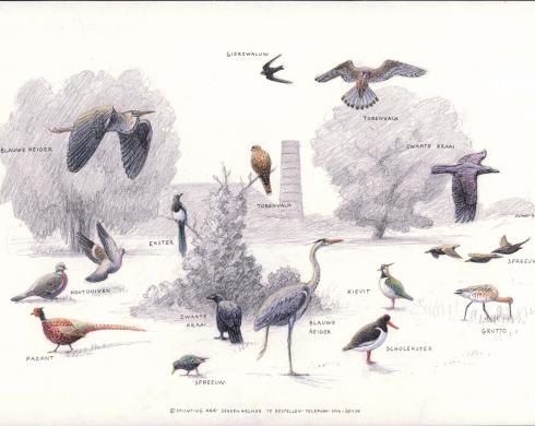 Zoekkaart Vogels Meinerswijk 1 Zoekkaart Vogels Meinerswijk 1